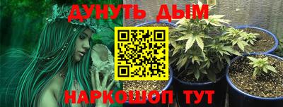 apvp Беслан