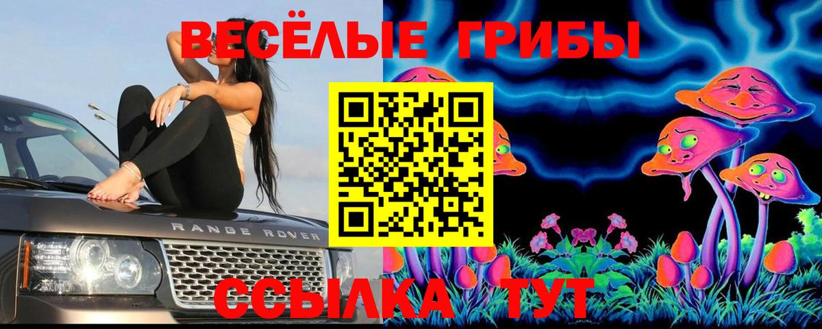 Галлюциногенные грибы GOLDEN TEACHER Клинцы